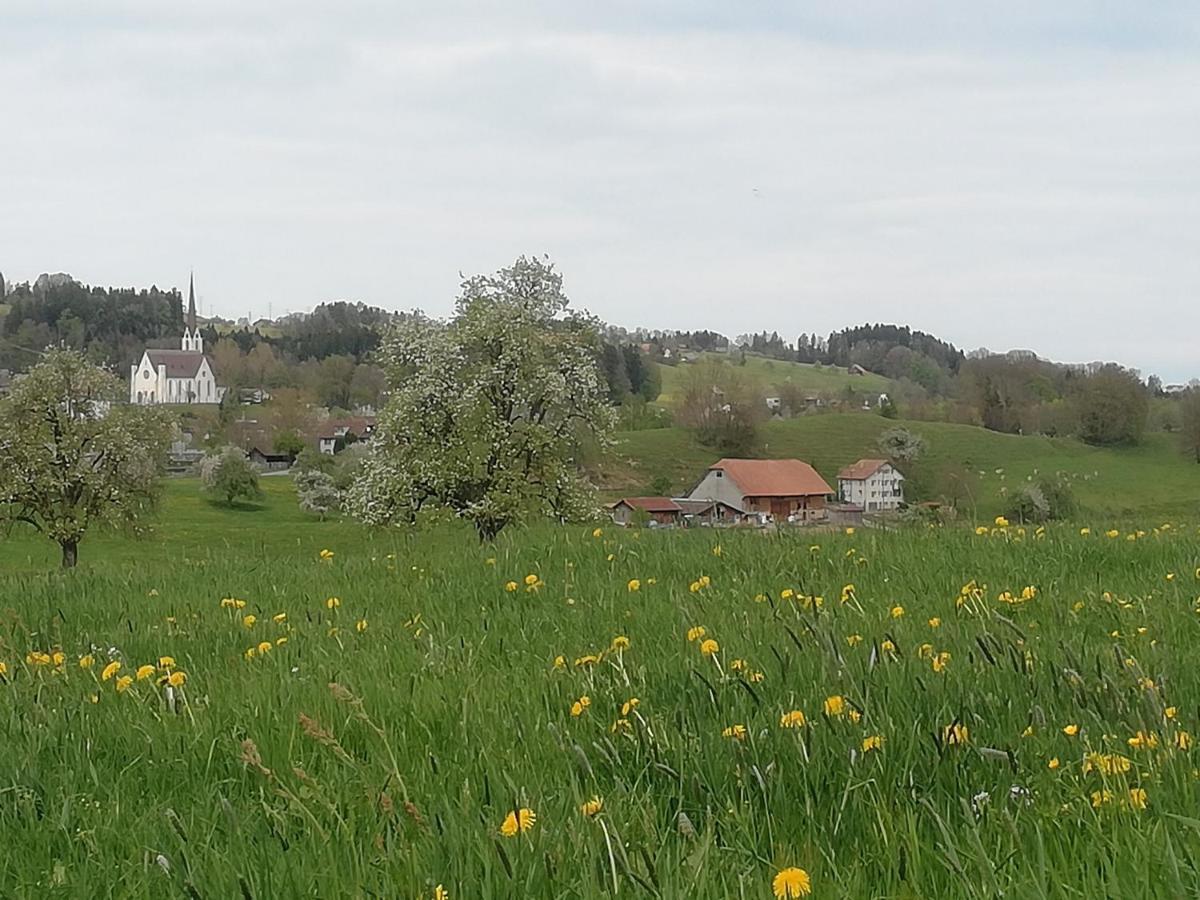 Billenberghof Apartment St. Gallen Bagian luar foto