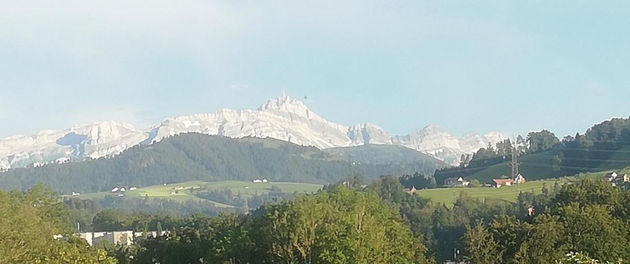 Billenberghof Apartment St. Gallen Bagian luar foto